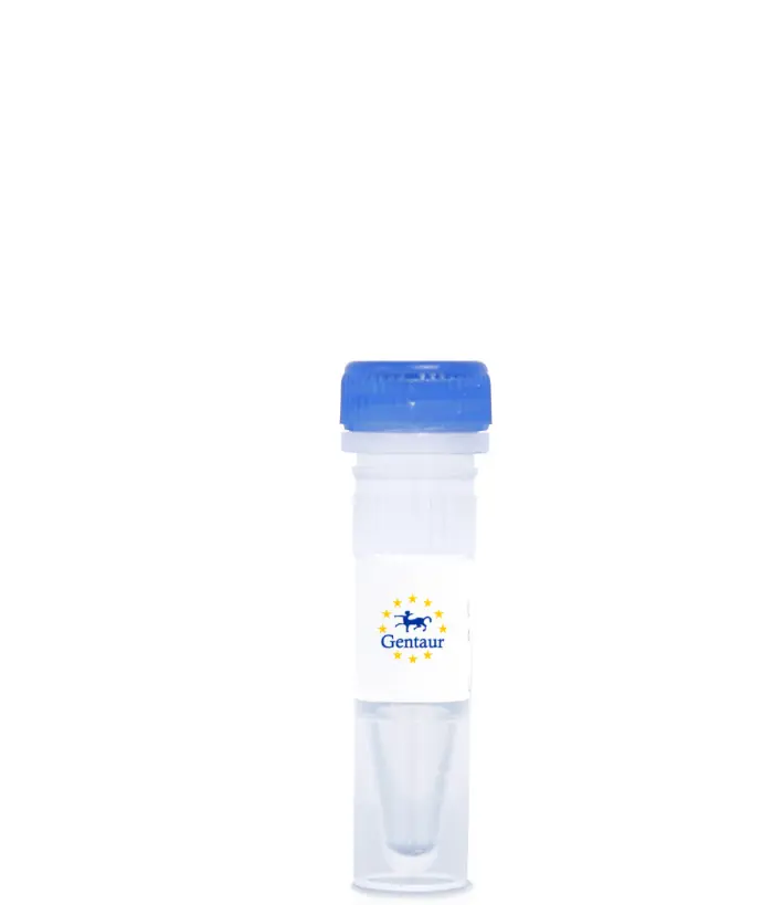CF®647-Cholera Toxin Subunit B (CTB)